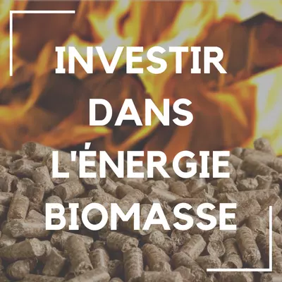 investir dans l'énergie biomasse
