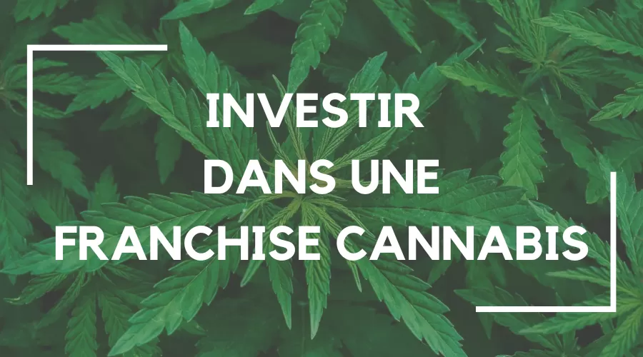 Investir dans une franchise de cannabis business rentable